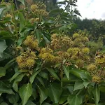 Superior - Am Mit Pool Im Thueringer Wald Tatil Evi *