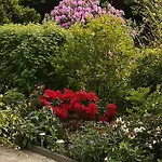 Tatil Evi Superior - Am Mit Pool Im Thueringer Wald *