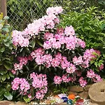 Tatil Evi Superior - Am Mit Pool Im Thueringer Wald Engelsbach