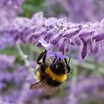 Superior - Am Mit Pool Im Thueringer Wald Engelsbach