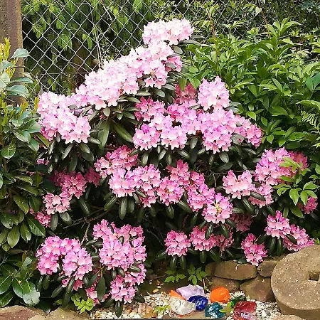 Hébergement de vacances Superior - Am Im Thueringer Wald Engelsbach