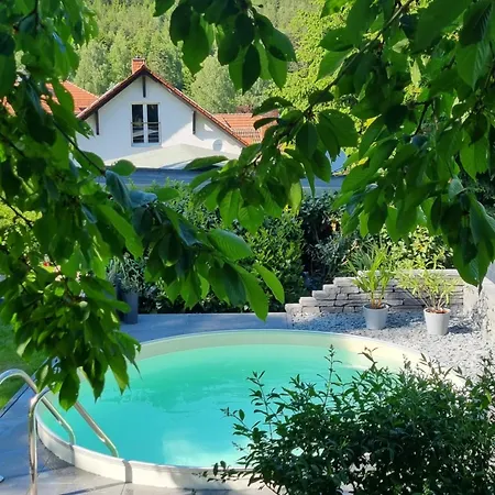 Superior - Am Mit Pool Im Thueringer Wald * Engelsbach