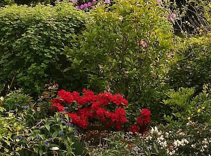 Σπίτι διακοπών Superior - Am Im Thueringer Wald *