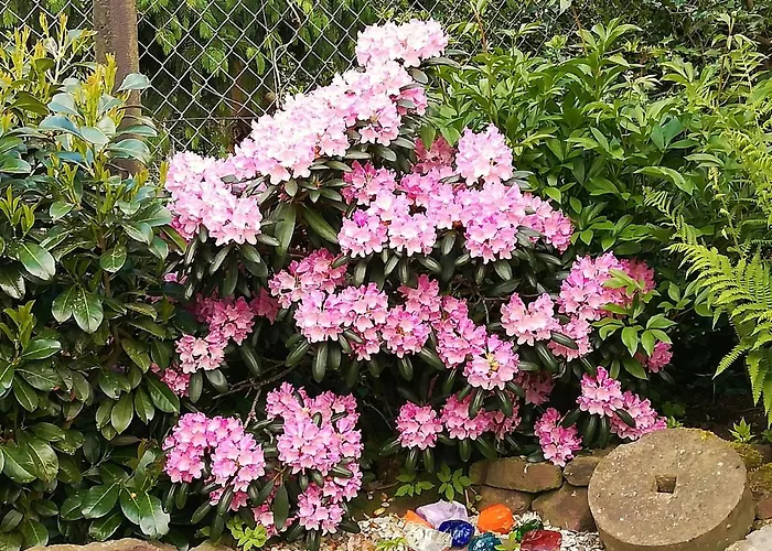 Σπίτι διακοπών Superior - Am Im Thueringer Wald Engelsbach